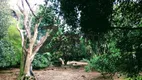 Foto 5 de Fazenda/Sítio com 3 Quartos à venda, 250m² em Parque Universitário de Viracopos, Campinas
