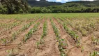 Foto 18 de Fazenda/Sítio com 3 Quartos à venda, 2560000m² em Zona Rural, Rio Quente