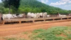 Foto 2 de Fazenda/Sítio à venda em Jardim Paraiso, Cáceres