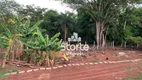 Foto 11 de Fazenda/Sítio com 2 Quartos à venda, 200m² em Chacara Represa de Miranda, Uberlândia