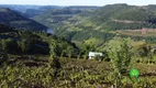 Foto 7 de Fazenda/Sítio à venda, 120000m² em Zona Rural, Monte Belo do Sul