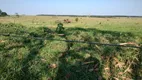 Foto 8 de Fazenda/Sítio com 3 Quartos à venda, 100m² em Zona Rural, Naviraí