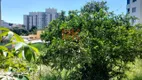 Foto 8 de Lote/Terreno à venda, 600m² em Castelo, Belo Horizonte