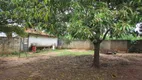 Foto 10 de Fazenda/Sítio à venda, 80m² em Centro, Rincão