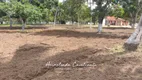 Foto 8 de Fazenda/Sítio com 4 Quartos à venda, 20000m² em Mangabeira, Macaíba