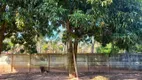 Foto 48 de Fazenda/Sítio com 3 Quartos à venda, 250m² em Jardim Bonanza, Santa Rita do Passa Quatro