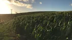 Foto 3 de Fazenda/Sítio com 3 Quartos à venda, 120m² em Zona Rural, Pilar do Sul