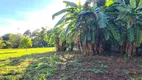 Foto 3 de Fazenda/Sítio com 4 Quartos à venda, 600m² em Bananal, Campinas