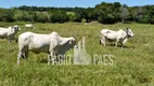 Foto 17 de Fazenda/Sítio com 5 Quartos à venda, 968000m² em Zona Rural, Silva Jardim