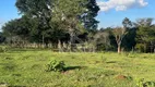 Foto 3 de Fazenda/Sítio com 3 Quartos à venda, 52600m² em Zona Rural, Santa Tereza do Oeste