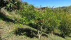 Foto 40 de Fazenda/Sítio com 4 Quartos à venda, 140m² em Centro, Santa Branca