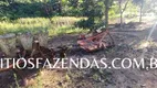 Foto 29 de Fazenda/Sítio com 10 Quartos à venda, 2000m² em Zona Rural, São Sebastião da Grama