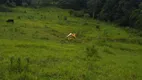 Foto 2 de Lote/Terreno à venda, 1981m² em Maracanã, Jarinu