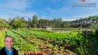 Foto 16 de Fazenda/Sítio com 2 Quartos à venda, 120m² em Campo da Brazina, Araricá