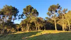 Foto 7 de Fazenda/Sítio com 3 Quartos à venda, 80000m² em , Urubici