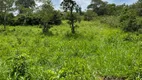 Foto 58 de Fazenda/Sítio com 2 Quartos à venda, 271000m² em Zona Rural, Santa Cruz de Goiás