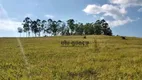 Foto 21 de Fazenda/Sítio à venda, 726000m² em Zona Rural, Botucatu