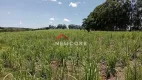 Foto 11 de Fazenda/Sítio com 3 Quartos à venda, 1200m² em Centro, Avaré