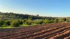 Foto 11 de Fazenda/Sítio com 4 Quartos à venda, 500m² em Reforma Agraria, Valinhos