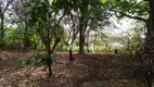 Foto 40 de Fazenda/Sítio com 3 Quartos à venda, 300m² em Zona Rural, Londrina