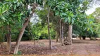 Foto 11 de Fazenda/Sítio com 3 Quartos à venda, 3000m² em Zona Rural, Riachinho