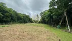 Foto 21 de Fazenda/Sítio com 2 Quartos à venda, 18555m² em Campestre da Faxina, São José dos Pinhais