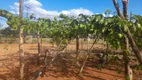 Foto 5 de Fazenda/Sítio com 2 Quartos à venda, 80m² em Área Rural de Cocalzinho Goiás, Cocalzinho de Goiás