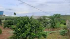 Foto 49 de Fazenda/Sítio com 3 Quartos à venda, 22000m² em Area Rural do Paranoa, Brasília