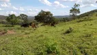 Foto 30 de Fazenda/Sítio com 2 Quartos à venda, 470000m² em Corrego Rico, Planaltina