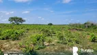 Foto 9 de Fazenda/Sítio à venda, 474m² em Zona Rural, Cristalândia