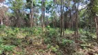 Foto 2 de Lote/Terreno à venda, 2572m² em , Brumadinho