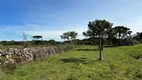 Foto 10 de Fazenda/Sítio à venda, 20000m² em , Urubici