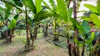 Foto 63 de Fazenda/Sítio com 2 Quartos à venda, 75m² em Jordao, Governador Celso Ramos