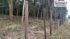 Foto 30 de Lote/Terreno à venda, 300m² em Campestre, São Leopoldo