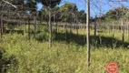 Foto 17 de Fazenda/Sítio com 3 Quartos à venda, 480m² em Silva Prado, Brumadinho