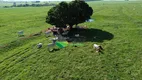 Foto 4 de Fazenda/Sítio com 2 Quartos à venda em Zona Rural, Jaguapitã