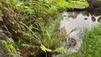 Foto 19 de Fazenda/Sítio com 2 Quartos à venda, 25000m² em Chapeu, Domingos Martins