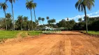 Foto 6 de Lote/Terreno à venda, 360m² em Resplendor, Igarapé