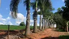 Foto 4 de Fazenda/Sítio à venda, 24100m² em Area Rural de Arapongas, Arapongas
