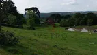 Foto 7 de Casa com 3 Quartos à venda, 25000m² em Barragem Do Salto, São Francisco de Paula