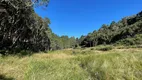 Foto 2 de Fazenda/Sítio à venda, 50000m² em MORRO CHATO, Rancho Queimado