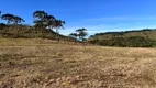 Foto 10 de Fazenda/Sítio à venda, 20000m² em Zona Rural, Urubici