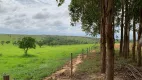 Foto 13 de Fazenda/Sítio com 3 Quartos à venda, 300000m² em Zona Rural, Dores do Indaiá