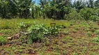 Foto 12 de Fazenda/Sítio com 5 Quartos à venda, 1300m² em Centro, Alvorada do Sul