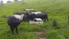 Foto 6 de Fazenda/Sítio com 1 Quarto à venda, 50m² em , Itanhandu