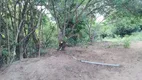 Foto 7 de Lote/Terreno para alugar, 26000m² em Caji, Lauro de Freitas