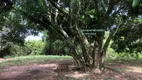 Foto 21 de Fazenda/Sítio com 2 Quartos à venda, 20000m² em Zona Rural, Gameleira de Goiás