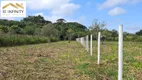 Foto 8 de Fazenda/Sítio à venda, 20000m² em Colônia Murici, São José dos Pinhais