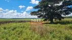 Foto 17 de Fazenda/Sítio à venda em Zona Rural, Itarumã