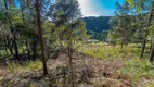 Foto 42 de Lote/Terreno à venda, 30000m² em Caracol, Canela